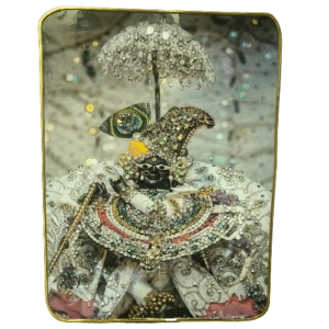 Radha Raman Ji Beautiful Crystal Painting with Resin Work – Divine Wall Art for Home Temple & Decor